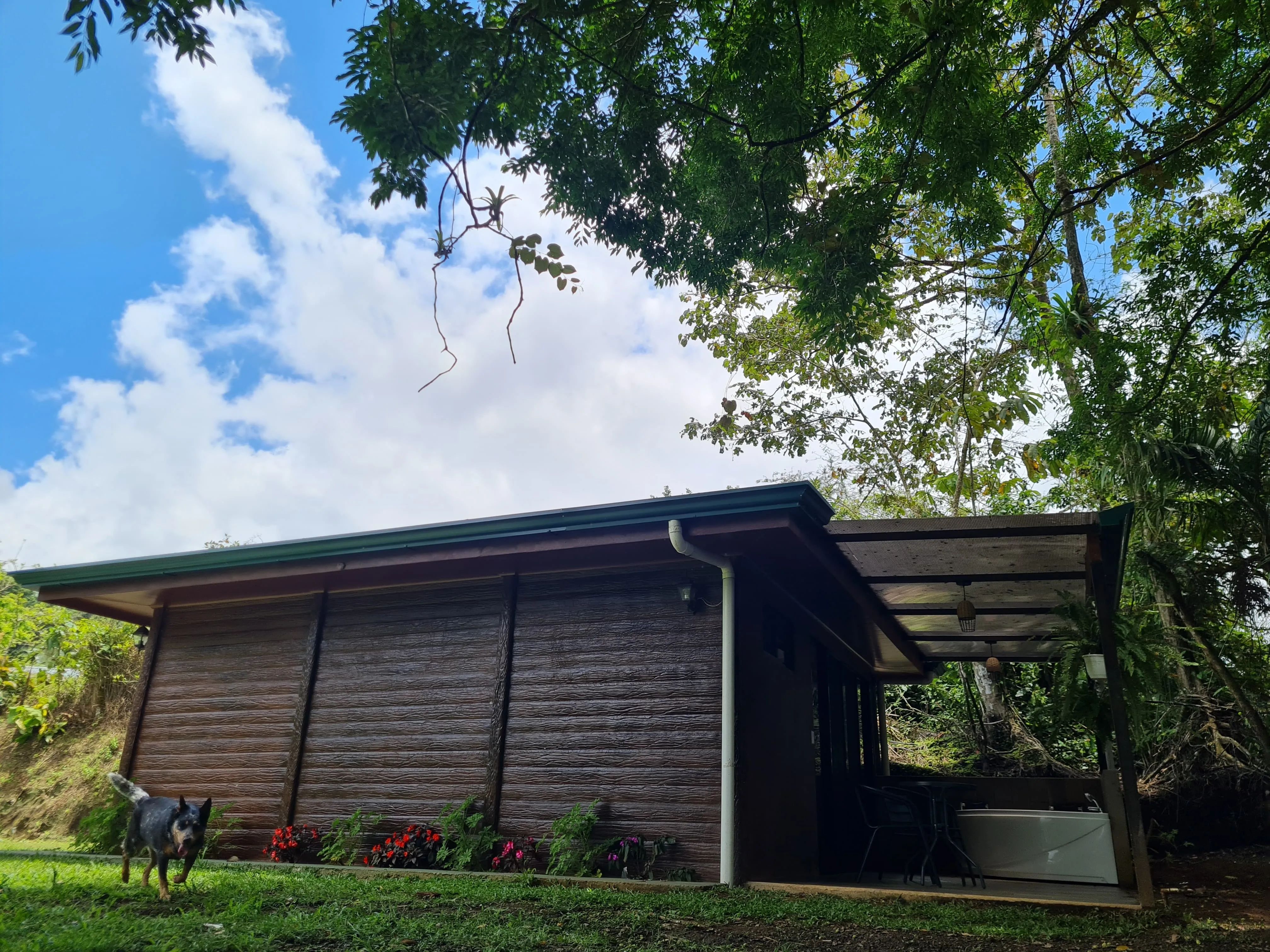 Exterior View
