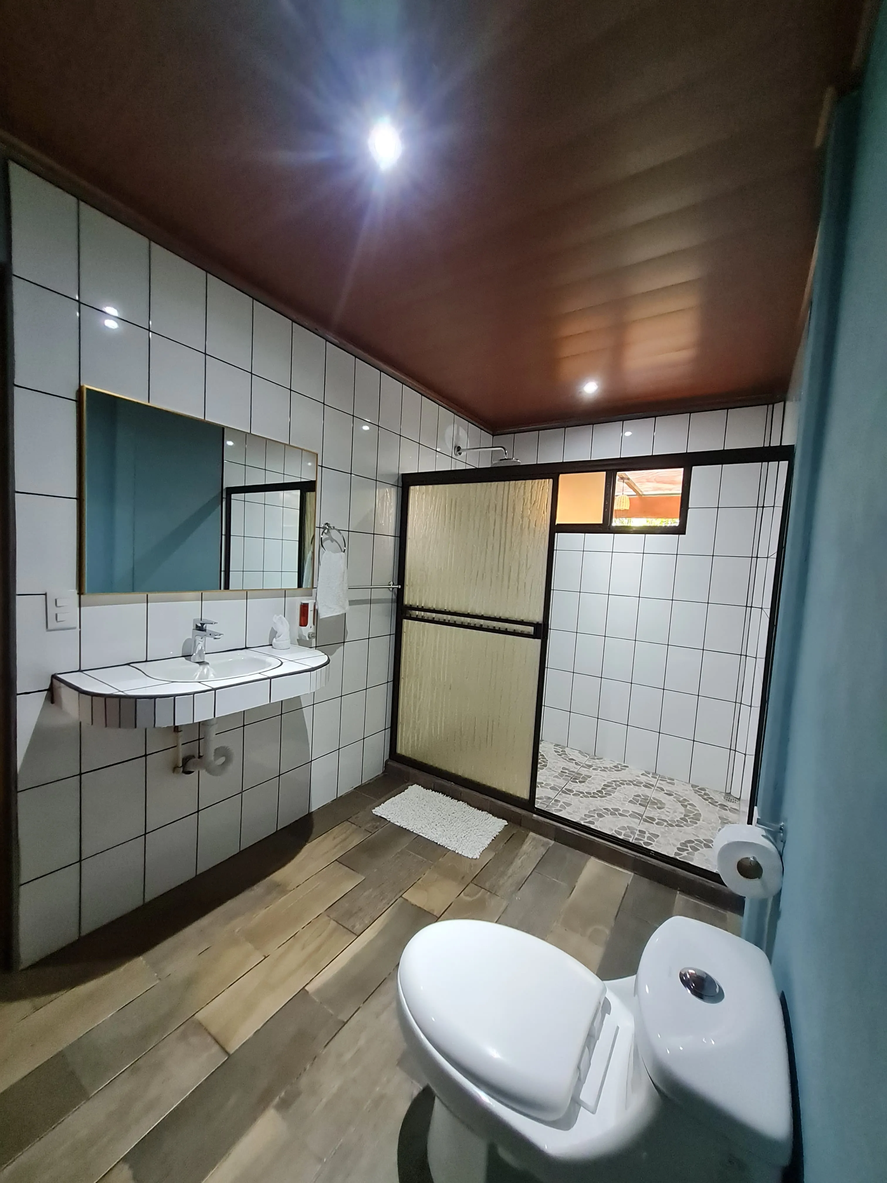Bathroom Detail 2
